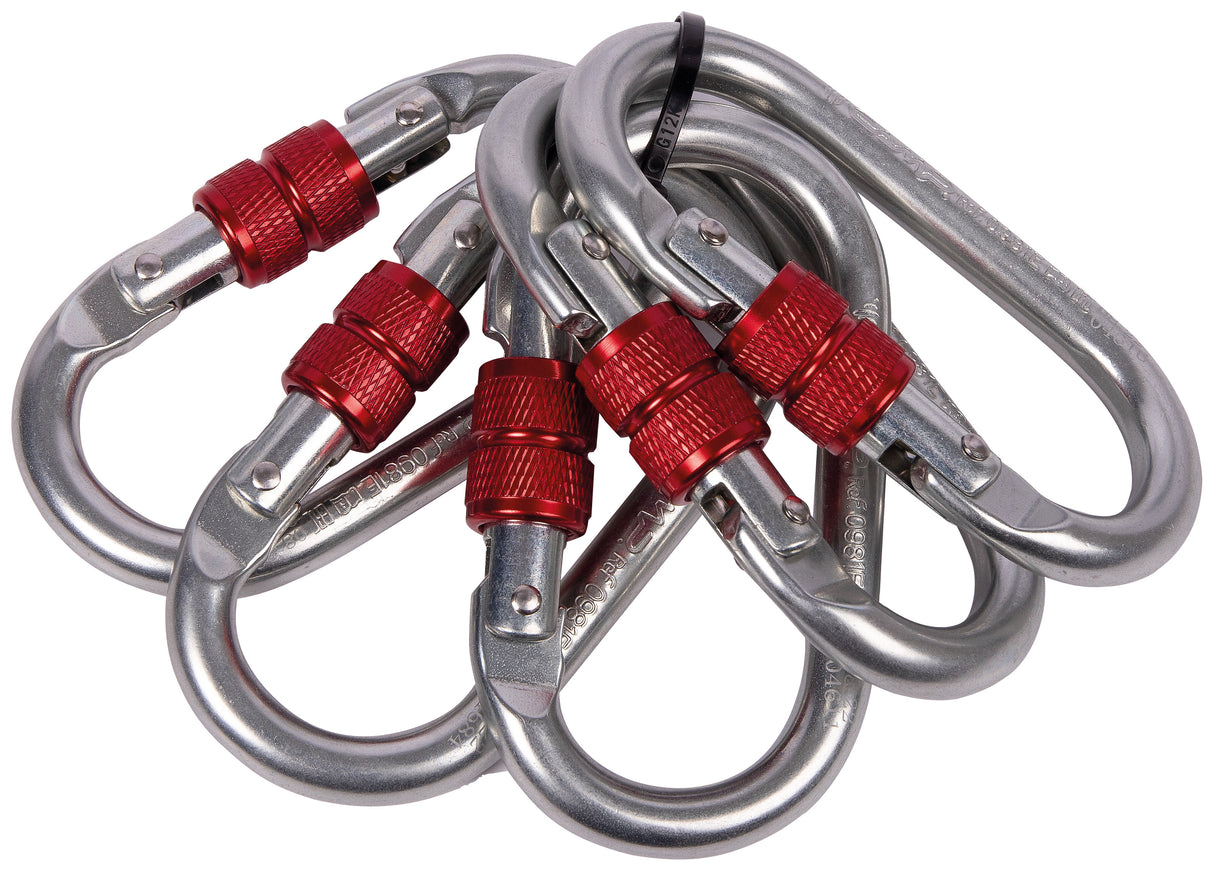 OVAL STANDARD LOCK - Moschettone