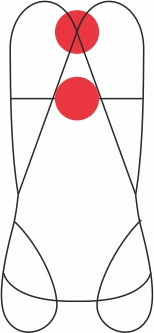 FOCUS LIGHT XT - Imbracatura completa