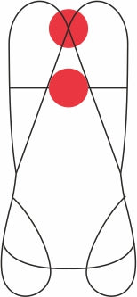 FOCUS VEST XT - Imbracatura completa