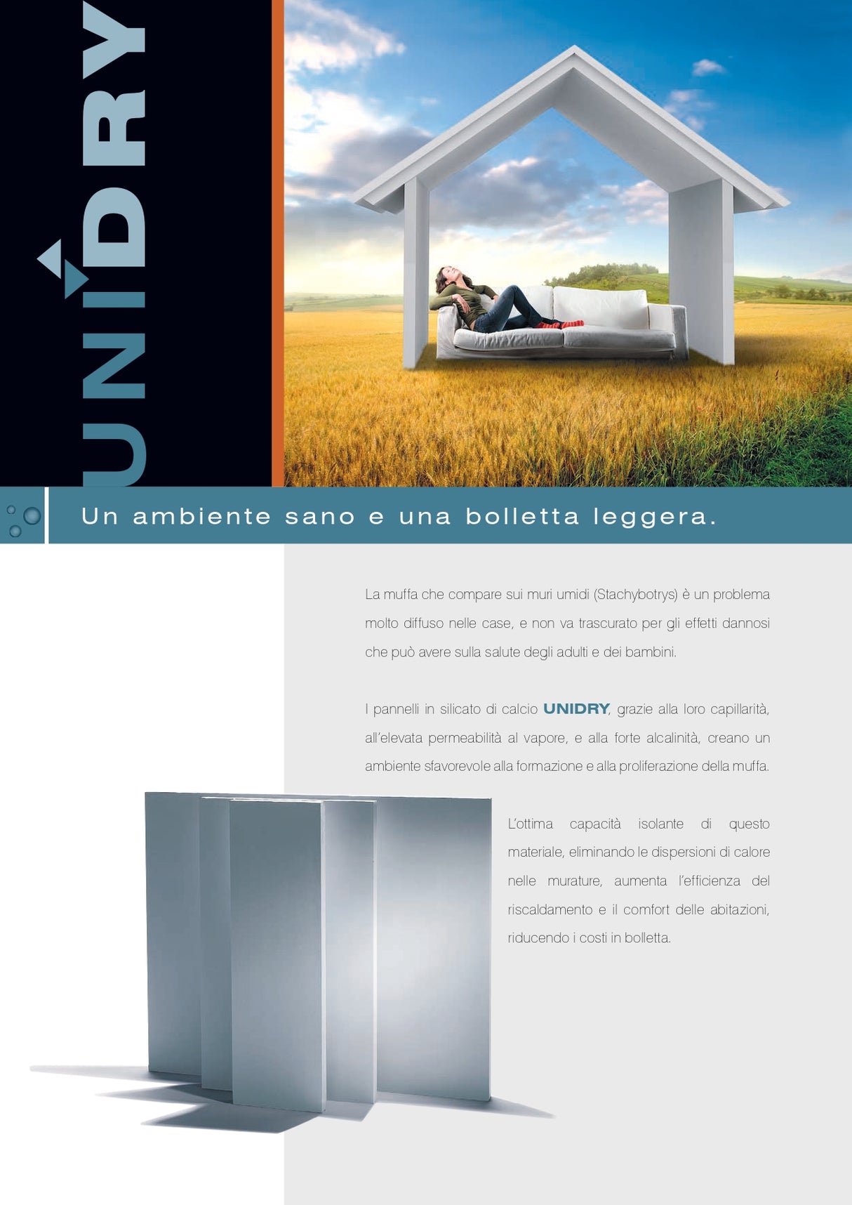 Unidry pannello per il risanamento