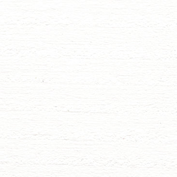 NATURAQUA HOLZWACHS LASUR 3IN1