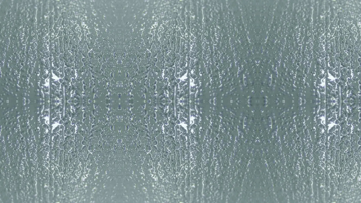 Ponte d’aggrappo universale WINGRIP® EVO 5 KG