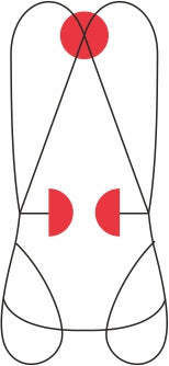 BASIC DUO - Imbracatura completa