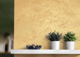 PITTURA DECORATIVA - SABULADOR SOFT LUX riflessi di sabbia fine